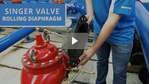 Rolling Diaphragm Video