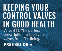 Download Keeping Your Control Valves in Good Health Free Guide